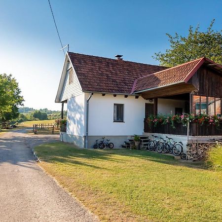 Farmstay Kotic Szluin Kültér fotó