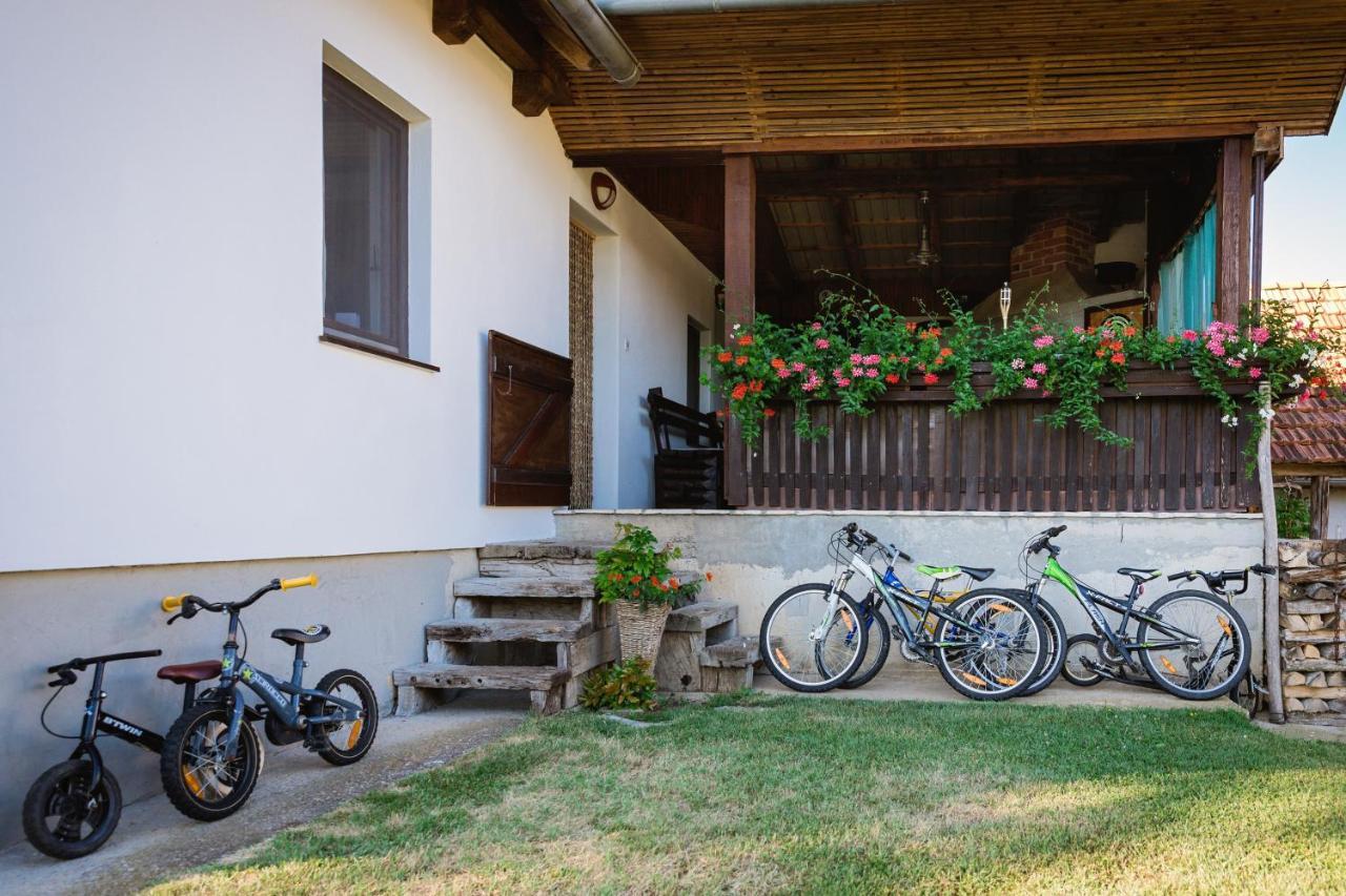 Farmstay Kotic Szluin Kültér fotó